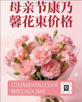 保定容城县花店母亲节康乃馨花束